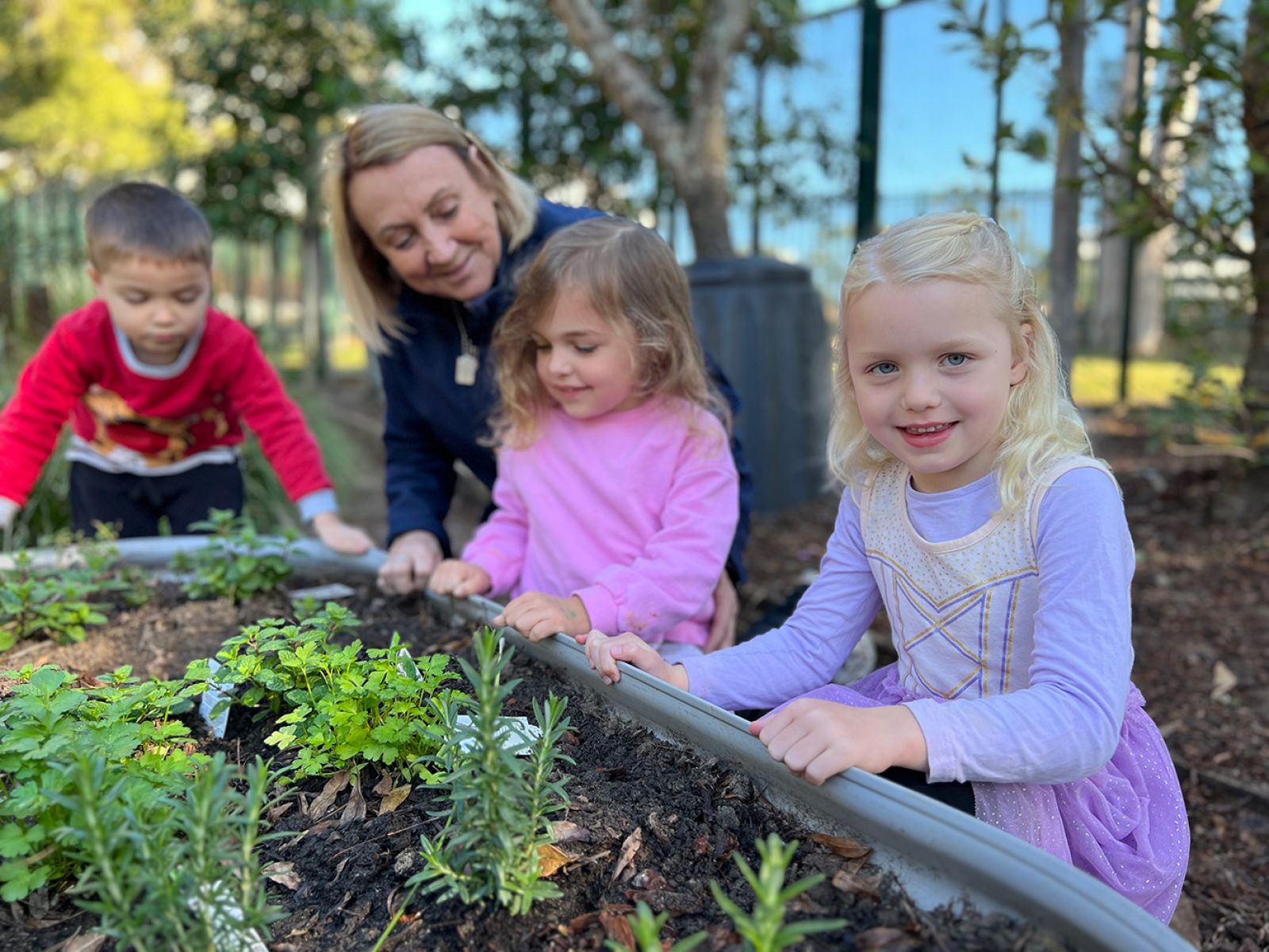 CARINGBAH Dianella Street Early Education Centre | Sutherland Shire Council