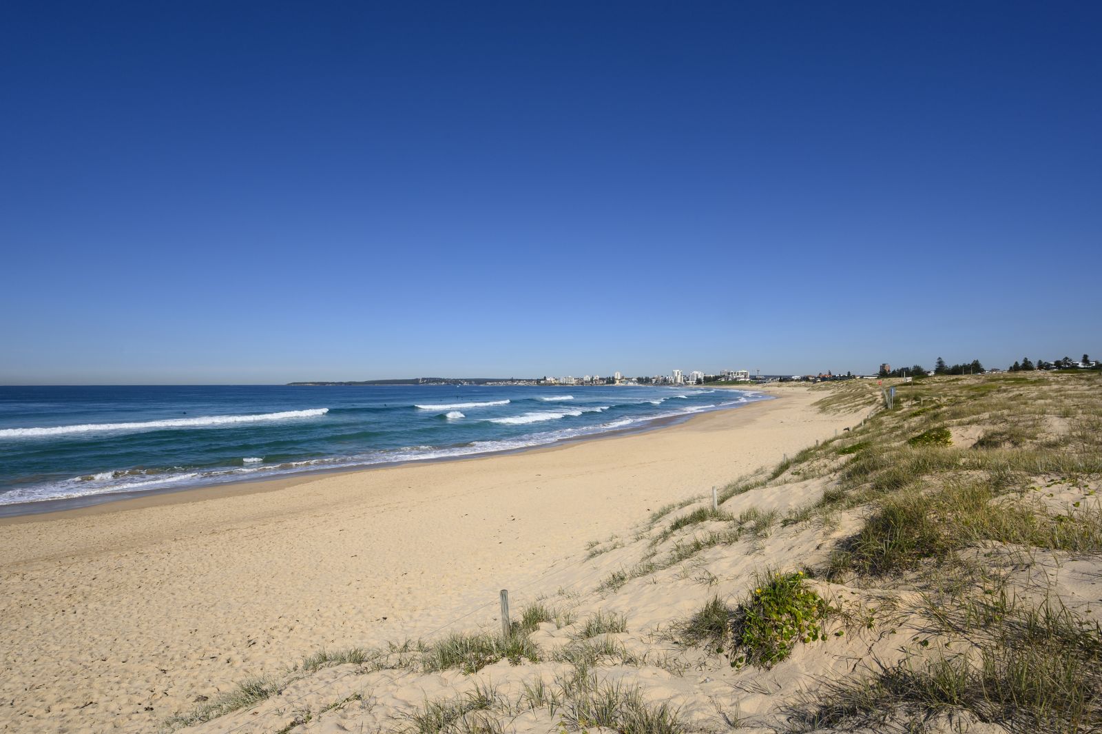 Greenhills Beach dog off-leash area, Cronulla | Sutherland Shire Council