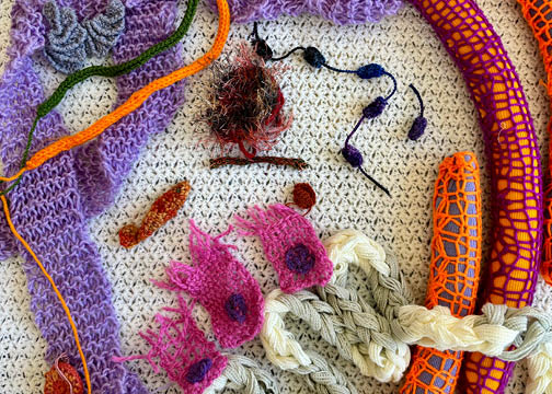 Can you crochet, stitch, knit or knot? Curious about our gut microbiome? Want to be a part of a great art + science project?