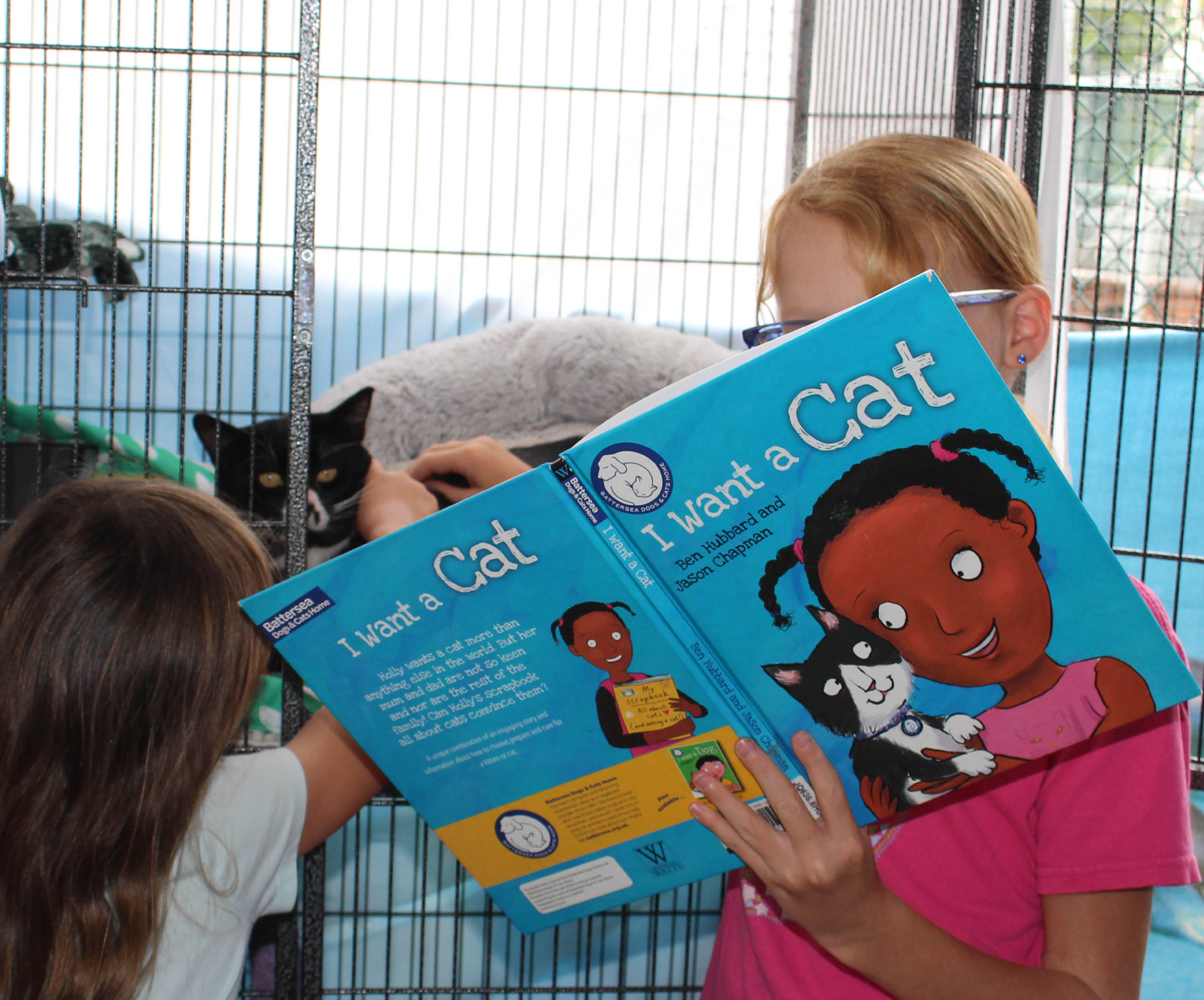 Bring along your favourite library book and join us at Sutherland Shire Animal Shelter to read with the cats these school holidays! Book your spot.