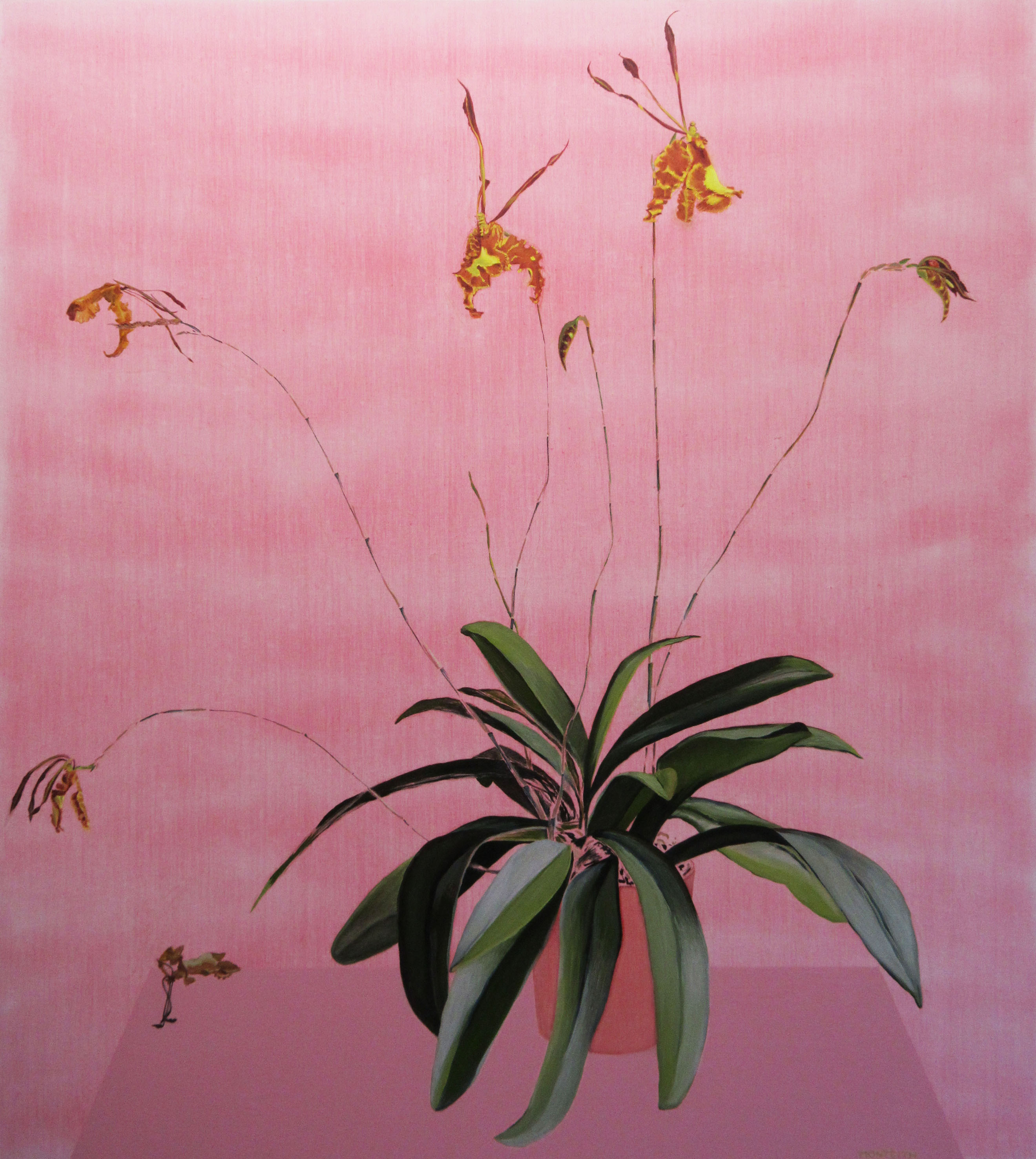 Oil painting of an orchid plant with yellow flowers on a pink background.
