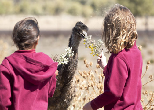 This Australian drama focuses on a young Indigenous girl who forms a bond with a wild emu as she navigates the death of her mother and life in a remote community.