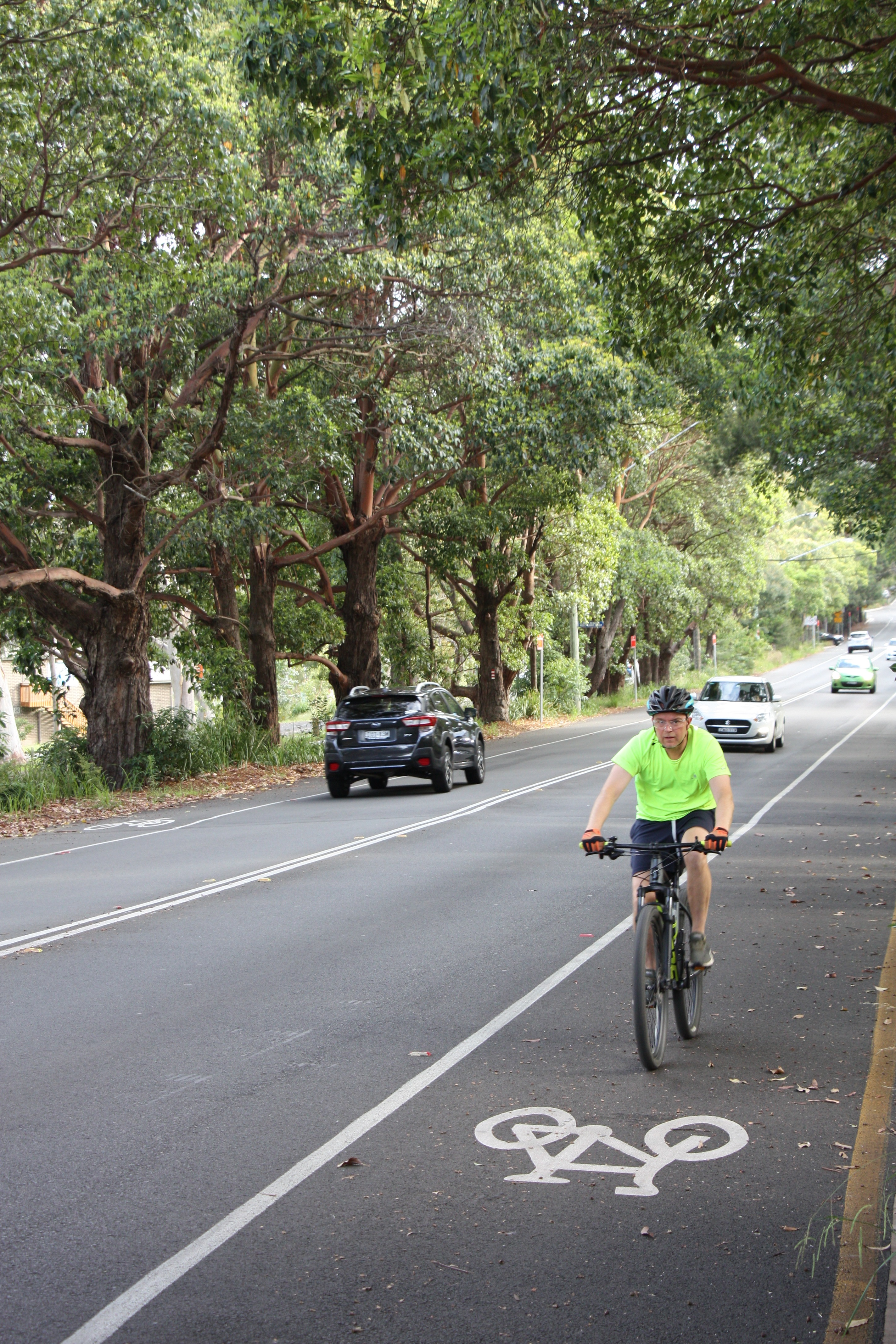 Person riding a bike in a bike lane, cars in background